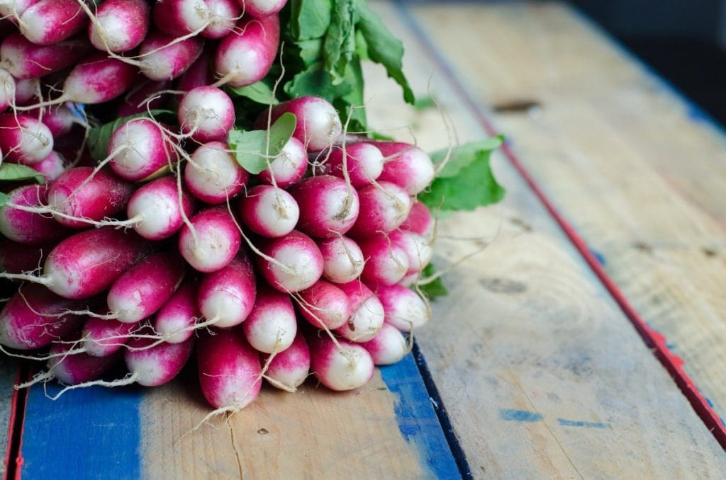 radish vegetable