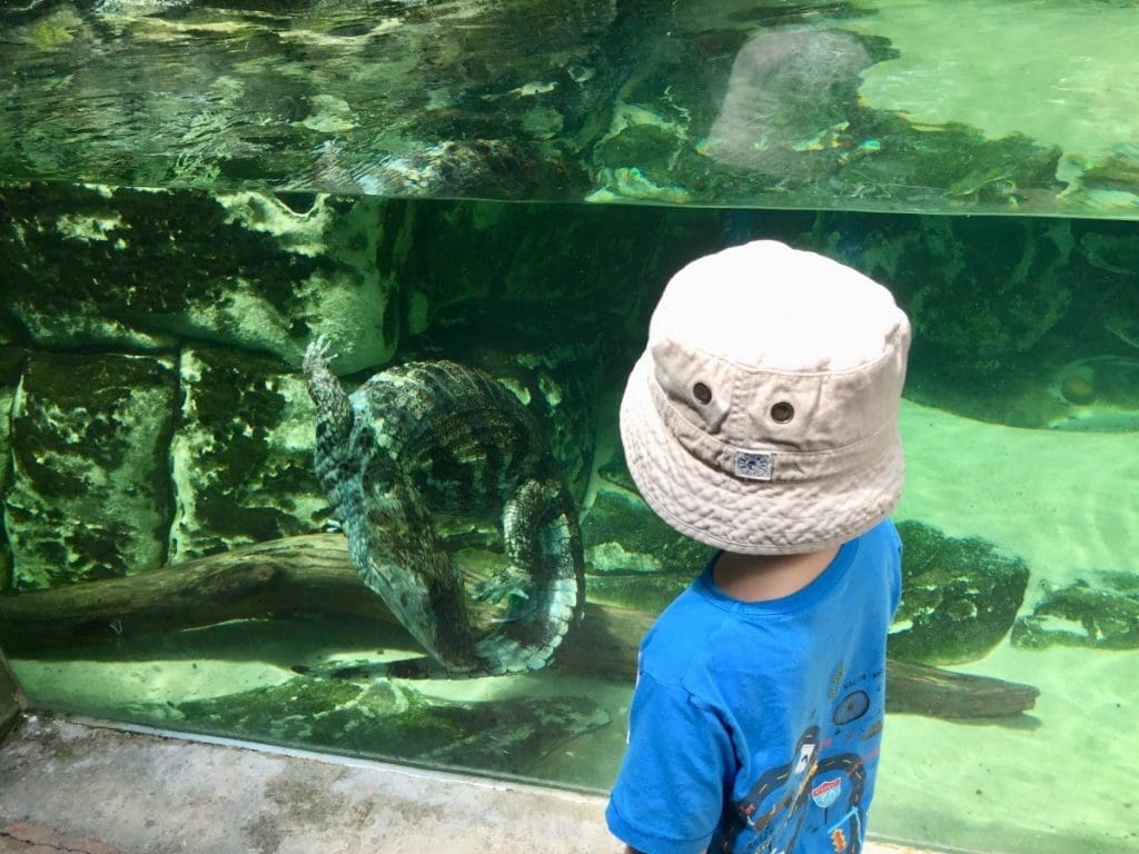 montpellier zoo