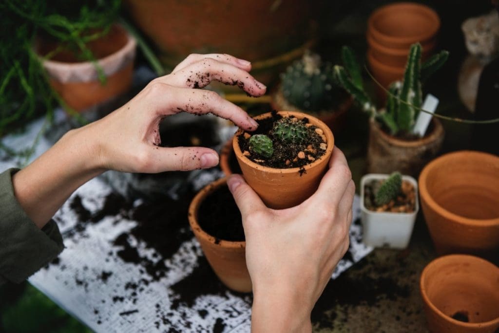 garden pot