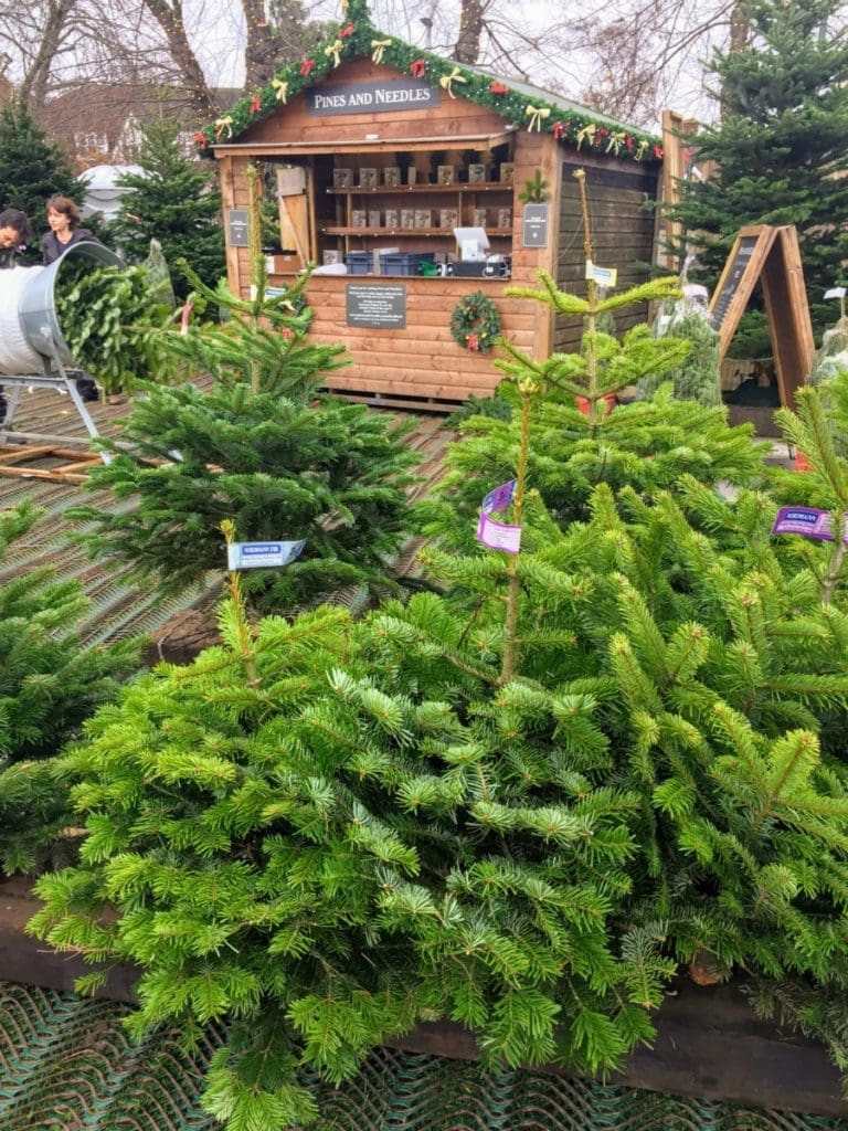 Christmas tree Christmas tree