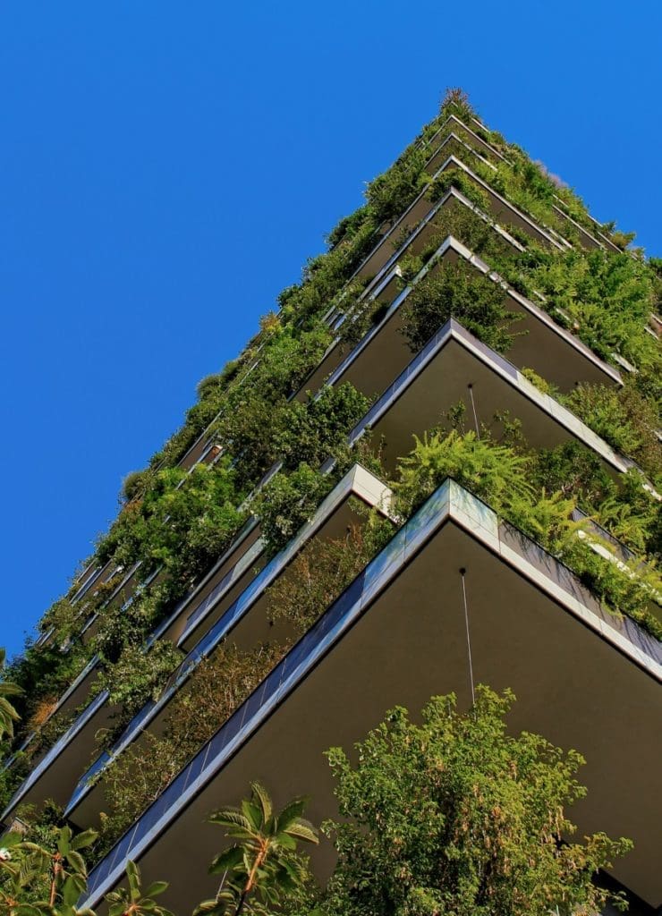 building plants 