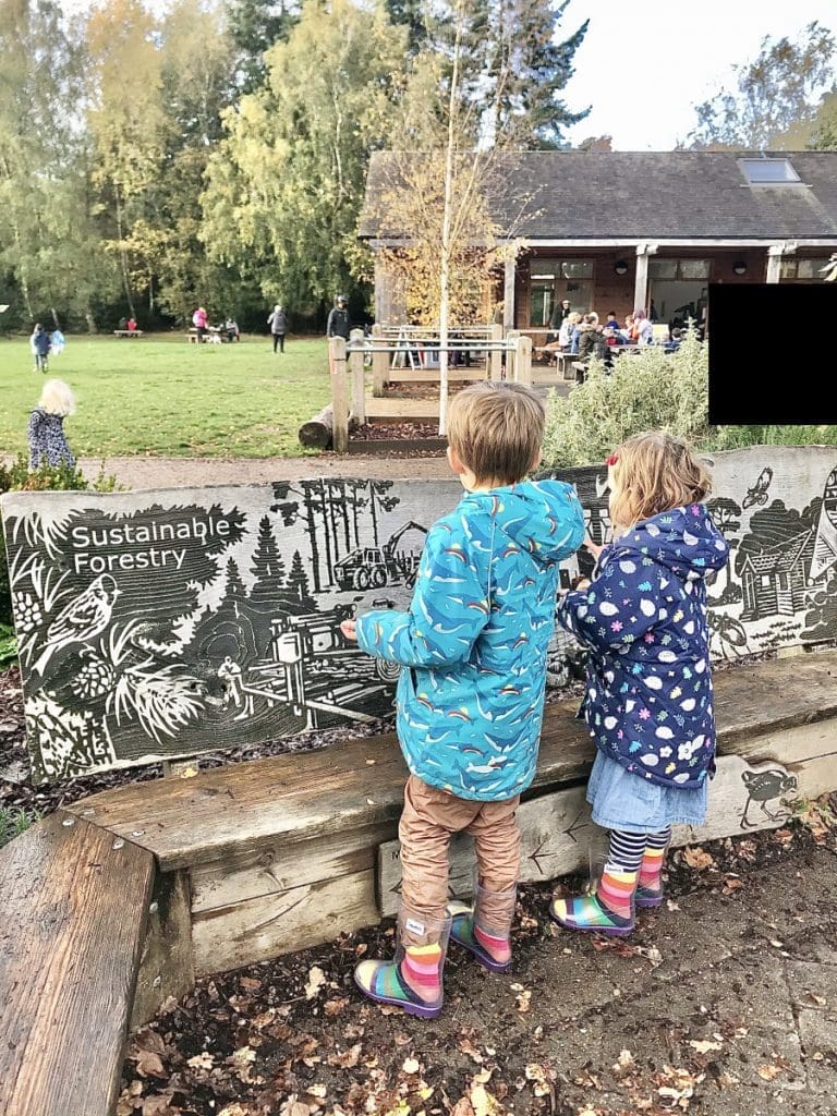 nature walk outside, Outdoor activities for kids
