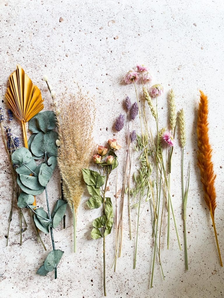 dried flowers