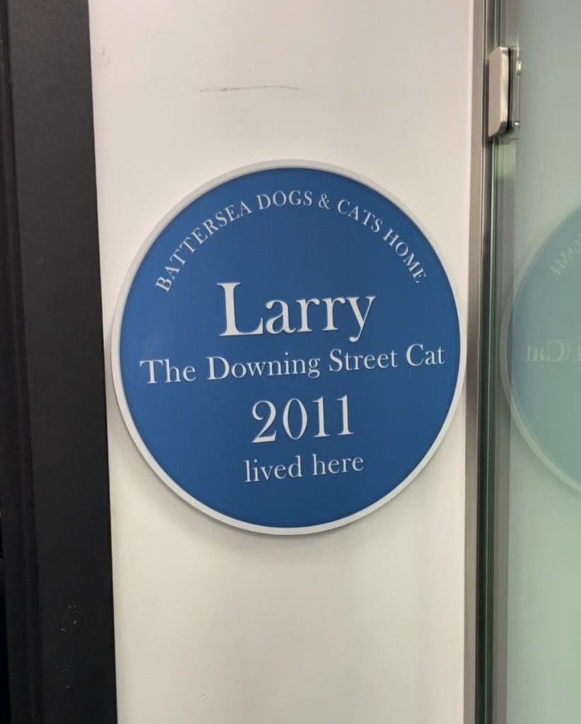 Larry the Downing Street cat