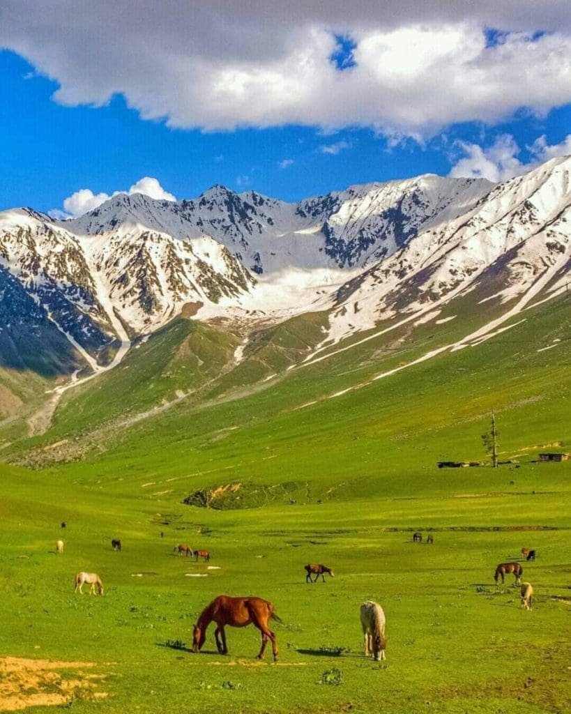 pakistan mountains