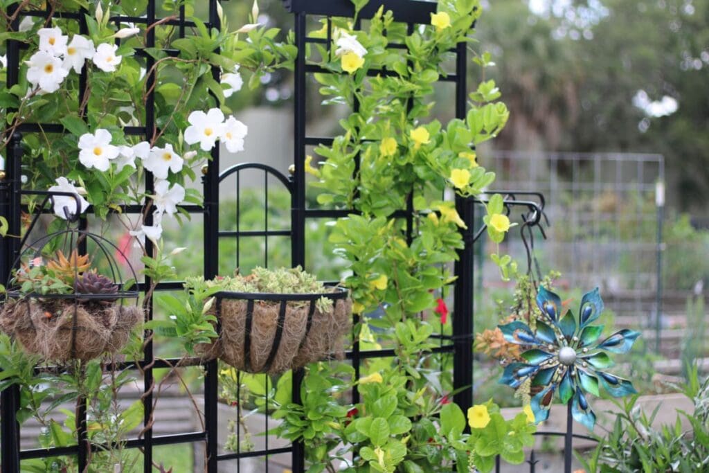 trellis garden flower plant
